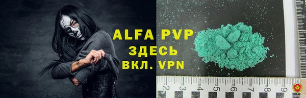 таблы Бородино