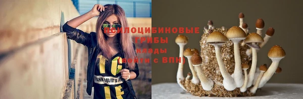 дурь Бронницы