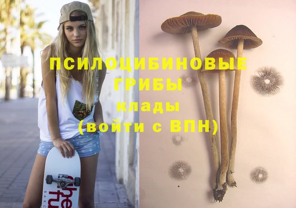 таблы Бородино