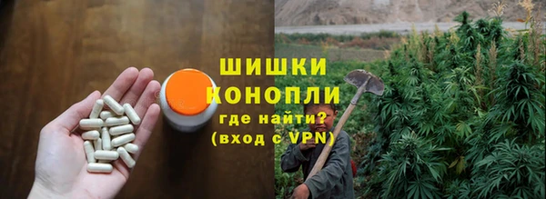 дурь Бронницы